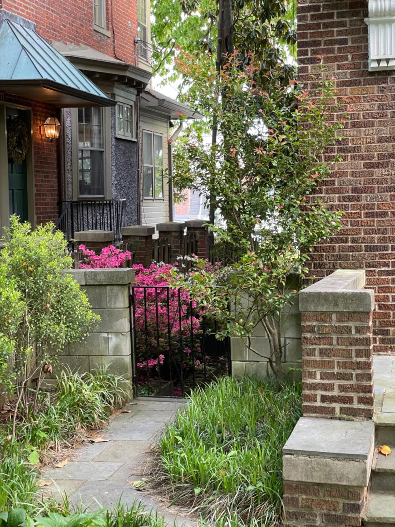 2 Bedroom By Zoo, Metro, Park And Embassies In Forest Hills - Best Location Washington Bagian luar foto